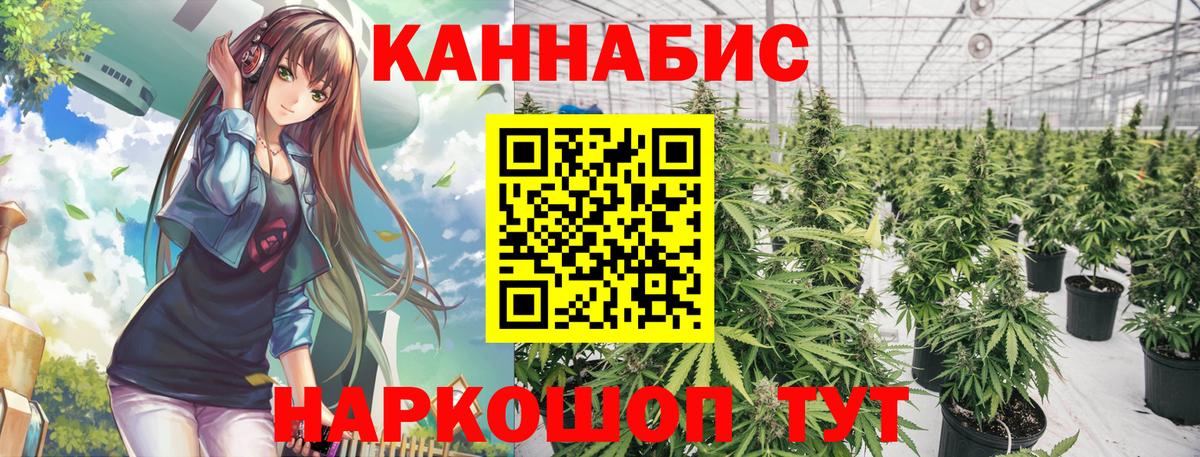 Канабис Amnesia  Конопля планчик  Бошки марихуана Ganja  Вход с VPN  Ялта 